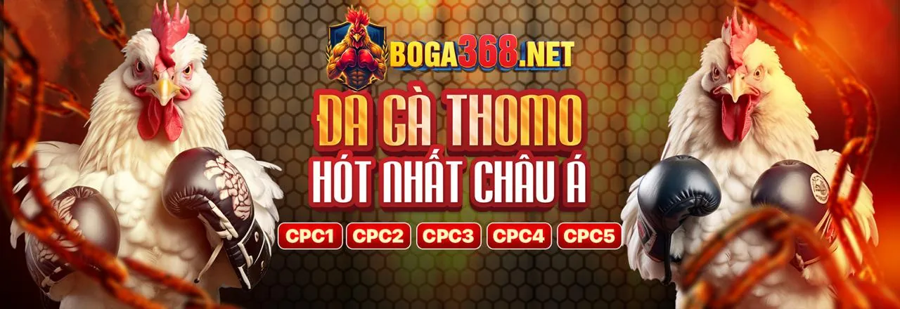 Hướng dẫn và mẹo cá cược thể thao